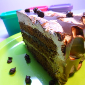 chocolate trifle cake recipe