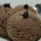 chocolate ice cream